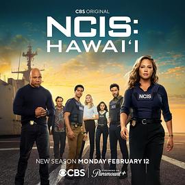 海军罪案调查处：夏威夷第三季全集